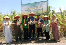 Inovasi BAZNAS Cilacap: Integrasikan Pertanian dan Peternakan di Sidareja