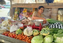 Harga Timun di Purbalingga Naik Dua Kali Lipat Dari Harga Normal