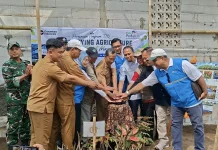 PLN EPI Terapkan Teknologi IoT di Rumah Bibit Mangrove Bunton