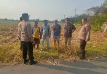 Polisi Berikan Imbauan Antisipasi Kebakaran Lahan Tebu di Wilayah Lebaksiu