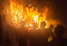 Empat Hektare Hutan di Ajibarang Terbakar Berhasil ditangani BPDB dan Warga