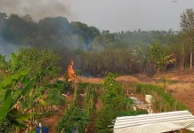 Karhutla Banyumas Bertambah, Lima Kejadian Tercatat