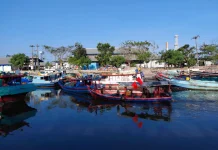 Musim Kemarau Bawa Berkah, Nelayan Cilacap Nikmati Peningkatan Hasil Tangkapan