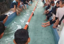 Terapi Ikan di Purbasari Pancuran Mas Jadi Daya Tarik Wisatawan
