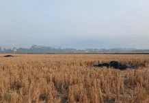 Purwojati Dilanda Kekeringan, Camat: Seluruh Desa Mulai Rasakan Dampak Kemarau