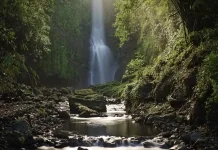 Debit Air Curug Orak-arik Menyusut saat Kemarau, Petani Terapkan Gilir Air
