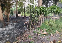 Ancaman Karhutla Meningkat, Warga Diminta Waspada di Kawasan Hutan
