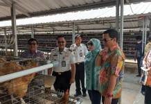 Pemkot Pekalongan Pelajari Ketahanan Pangan Unggas di Nusakambangan