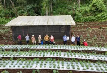 P2B UIN Saizu Bidik Hilirisasi dan Investasi Stevia