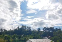 BMKG: Purwokerto dan Banyumas Raya Diprakirakan Berawan