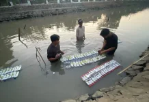 Dari Botol Bekas, Mahasiswa KKN UIN Saizu Kembangkan Budi Daya Kangkung Keramba