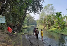 Konservasi Ikan Sungai Berem Banyumas Bertahan Empat Tahun
