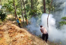 Dua Hari Berturut-turut Lahan Terbakar di Kebumen