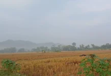 Cuaca Jawa Tengah 8 Agustus Didominasi Cerah Berawan