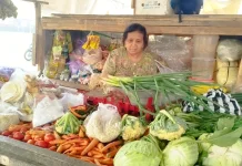 Harga Sayur Mayur di Purbalingga Melonjak akibat Musim Terang