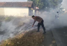 Polri dan Warga Padamkan Kebakaran Lahan Seluas 1.500 Meter Persegi di Dukuhwaru