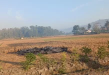 Kemarau Kering di Banyumas Raya Berpotensi Tingkatkan Risiko ISPA