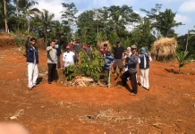 KKN UIN SAIZU Gandeng DLH Manfaatkan Lahan Tidur