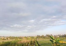 Cuaca Banyumas Raya Kamis Ini Berawan, Warga Diminta Waspadai Kebakaran