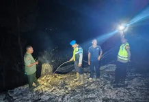 Kebakaran Lahan Perhutani di Karanggayam, Api Padam Setelah Dua Jam