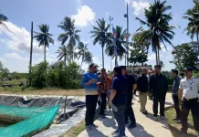Geliat Ketahanan Pangan di Nusakambangan, dari Budidaya Sidat hingga Cetak Sawah B