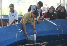 Cegah Anemia Remaja, Mahasiswa UMP Kembangkan "Bunila" dan "Bestitani"
