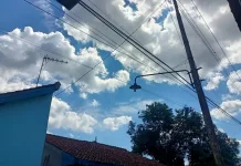 Cuaca Purwokerto Jumat Cerah Berawan, Waspadai Dampak Musim Kemarau