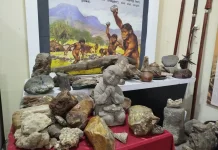 Museum Purbakala Bumiayu Dorong Pelestarian Fosil dan Edukasi Sejarah