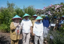 Kembangkan Kedokteran Herbal, UMP Bangun Kebun Tanaman Obat