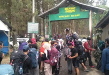 Jelang HUT ke-81 RI, Pendakian Gunung Slamet via Permadi Guci Dipadati Pendaki