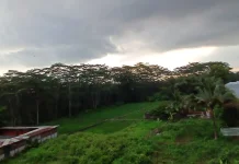 Cuaca Banyumas Raya: Berawan hingga Hujan Ringan, Waspada Karhutla