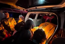 Tim SAR Gabungan Evakuasi Pendaki Jatuh di Kawah Gunung Slamet