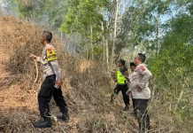 Kebakaran Lahan di Kebasen Banyumas Berhasil Dipadamkan Sebelum Meluas
