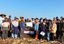 Tim Dosen UNUGHA Ajarkan Petani Sulap Kulit Jagung Jadi Pupuk dan Biopestisida
