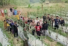 Dorong Pertanian Berkelanjutan, KKN UNUGHA Cilacap Latih Kelompok Tani Srimulya