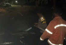 Kebun Kelengkeng di Linggasari Terbakar, Diduga akibat Pembakaran Rumput Kering