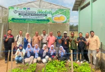 Berbasis IoT, UNUGHA Kembangkan Greenhouse di KWT Mugi Kasembadan