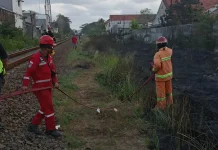 Kebakaran Lahan di Cilacap Sempat Ganggu Perjalanan KA Sancaka Utara