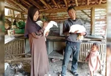 Potensi Manis Entok Jumbo: Peluang Bisnis Rumahan yang Makin Diminati