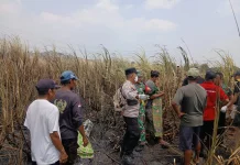 Polisi Evakuasi Warga Meninggal Dunia dengan Luka Bakar di Persawahan Warureja