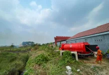 BPBD Brebes Catat 12 Titik Kebakaran Lahan Selama Musim Kemarau