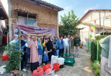 UMP Kembangkan Limbah Serabut Kelapa Jadi Produk Bernilai Ekonomi