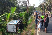 Truk Boks Muatan Ayam Terguling di Bobotsari, Polisi Lakukan Pemeriksaan