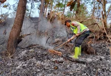 Kebakaran Lahan Merambat ke Hutan, Warga dan Polisi Turun Tangan