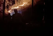 Lahan Kering 2,5 Hektare Terbakar di Jatilawang