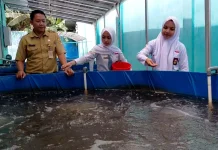 Musim Kemarau, Bioflok Jadi Solusi Budidaya Ikan Hemat Air