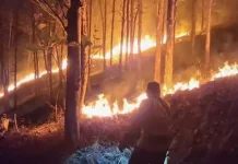 Lahan Jati di Ajibarang Terbakar
