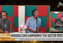 Kemarau Berdampak pada Luas Tanam Padi di Banyumas