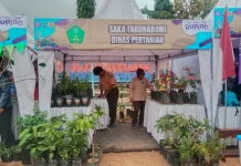 Saka Taruna Bumi Unjuk Program Budidaya di Festival Pramuka Banyumas 2026
