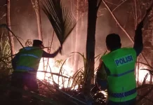 Kebakaran Lahan di Kebumen, Api Padam 1 Jam